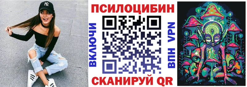 Псилоцибиновые грибы Psilocybe ОМГ ОМГ онион Нижний Тагил